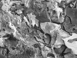 Detail of film and filaments along the interface between detrital grain and pearl by M. Spilde, D. Northup, and L. Melim