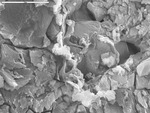 Overview of film and filaments on crystals from cave pearl by M. Spilde, D. Northup, and L. Melim
