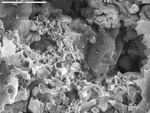 Possible biofilm pulling away from etched grains