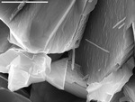 Microrods or needles engulfed by larger crystals by M. Spilde, D. Northup, and L. Melim