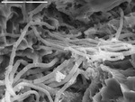 Large pile of smooth and fuzzy filaments by Michael Spilde and Leslie Melim