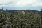 Escudilla Mountain (6).tif by USDA Forest Service