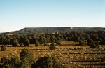 Largo Mesa (1).tif by USDA Forest Service