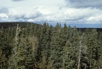 Escudilla Mountain (7).tif by USDA Forest Service
