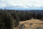 Escudilla Mountain (4).tif by USDA Forest Service