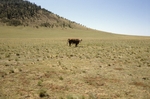 Garland Prairie (10).JPG by USDA Forest Service