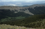 McCrystal Meadow (3).JPG by USDA Forest Service
