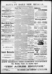 Santa Fe Daily New Mexican, 01-20-1891 by New Mexican Printing Company