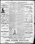 Santa Fe Daily New Mexican, 08-29-1891 by New Mexican Printing Company