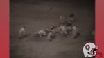 Men's Football: UNM Lobos vs. Texas Western Miners, October 25, 1952 by University of New Mexico