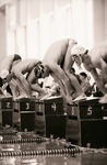 Swimming: UNM Lobos Swim Teams, 1997 by University of New Mexico